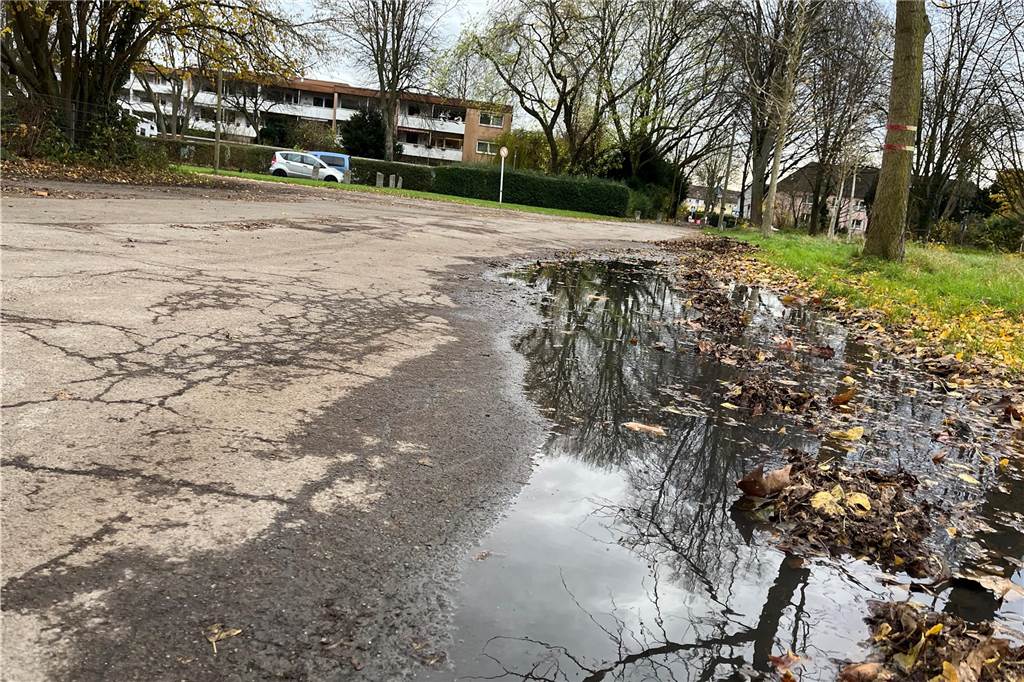 Grüne setzen sich für einen Parkplatzsanierung am Brauksweg ein Der jetzige Parkplatz der Dortmunder Löwen - der vielleicht gar keiner ist - wirkt marode und sanierungsbedürftig.
