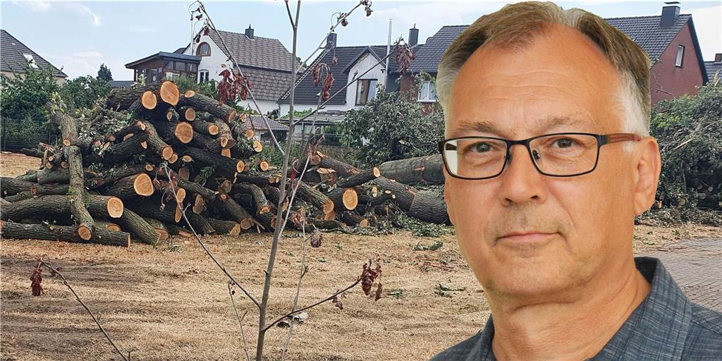Fäll-Aktion wird Diskussion um Baumschutzsatzung in Dorsten befeuern Der Kahlschlag in Holsterhausen wird die Diskussion um eine Baumschutzsatzung befeuern, meint Michael Klein.