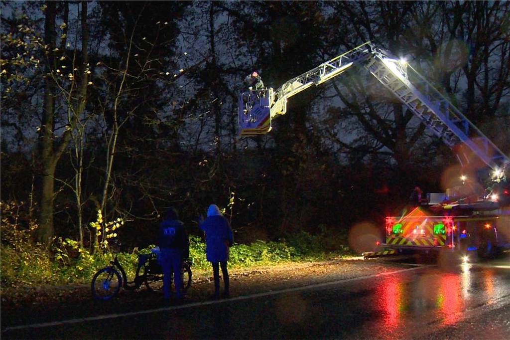 Die Feuerwehr holt den Panda per Drehleiter vom Baum.