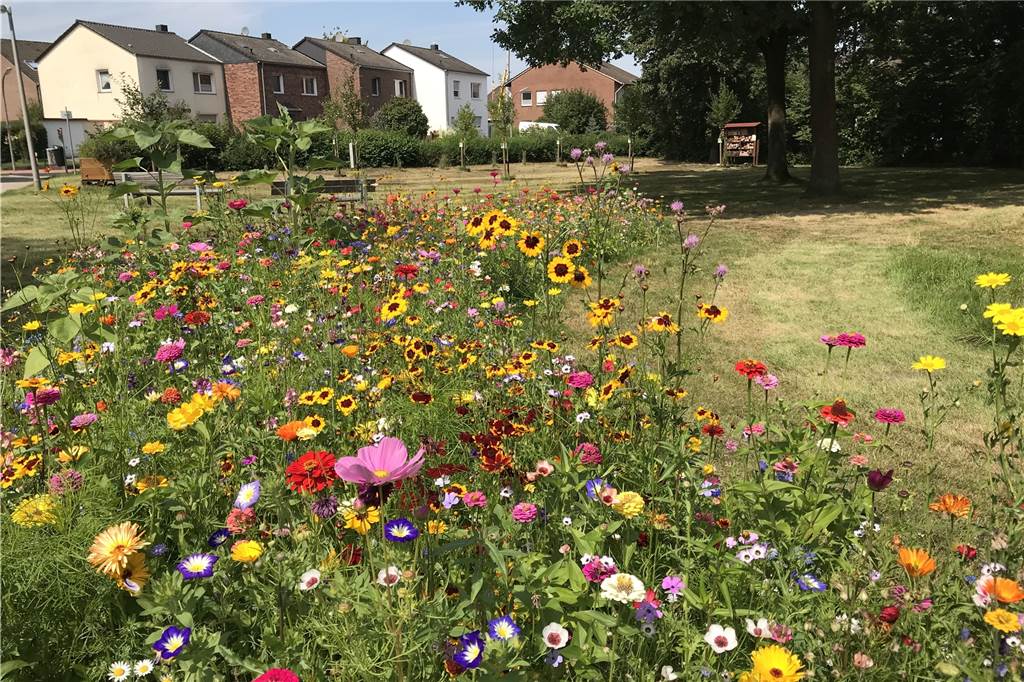 Konkrete Pläne für eine große Hunde-Freilaufwiese in Dorsten Der kleine Hardter Stadtteilpark zwischen Overbergstaße und Pestalozzistraße soll durch weitere Bürgerbudget-Projekte aufgewertet werden.