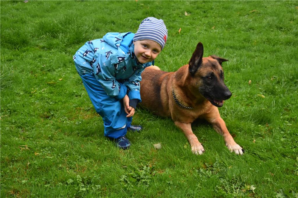 Im Gebrauchshundesportverein lernt Bello fürs Leben - doch der Weg zum Erfolg ist lang Der kleine Marlon ist halb so alt wie sein Hundekumpel Drago