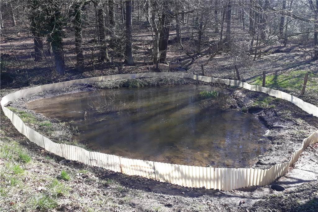 Laich-Tümpel in der Dortmunder Bittermark rettet Kröten das Leben Der Laichtümpel in der Bittermark wurde jetzt erweitert, damit alle Amphibien Platz finden.