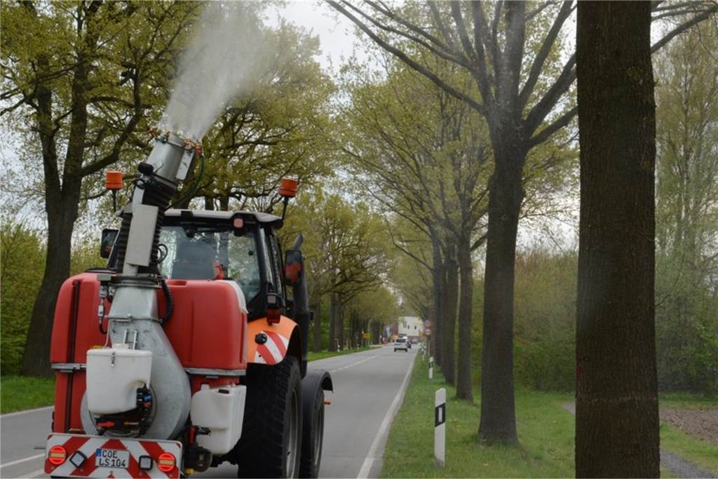 Haarige Giftraupen: Alles, was man dazu in Heek wissen muss Der Landesstraßenbaubetrieb Straßen.NRW hat die Eichen entlang der Bundes- und Landestraßen im Kreis bereits vor Wochen mit einem Biozid eingesprüht.