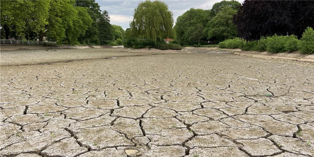 Gondelteich soll für viel Geld wieder komplett entschlammt werden Der leere Gondelteich im Stadtgarten im Mai 2022. Nun sollen die Bauarbeiten genutzt werden, um den Teich erstmal nach 40 Jahren wieder komplett zu entschlammen.