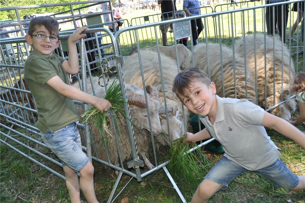 DIA-Vorsitzender Thomas Hein macht Schluss und rechnet ab Der Lembecker Tiermarkt lockt jedes Jahr viele Besucher ins Dorf.