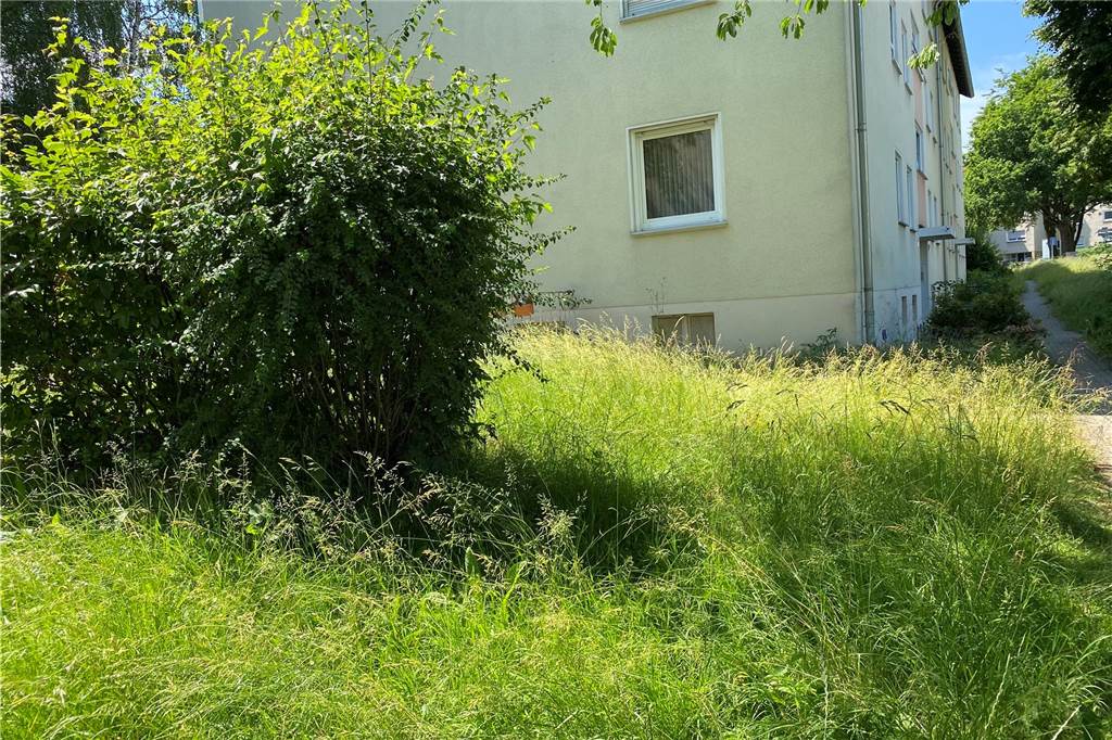 „Das wird richtig gefährlich!“ Dortmunder Mietshaus wuchert weiter zu Der letzte Grünschnitt der Fläche erfolgte im November.