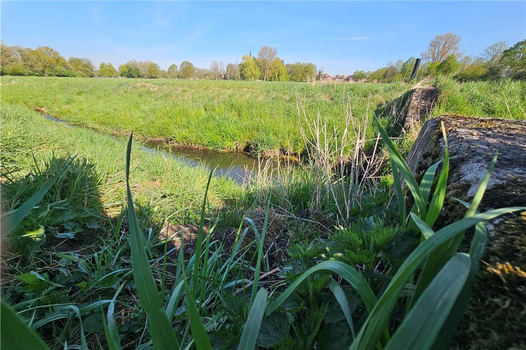 Mysteriöse Kreise: Historische Sensation verborgen am Donaugraben? Eine Ackerfläche am Donaugraben in der Gemeinde Heek im Kreis Borken