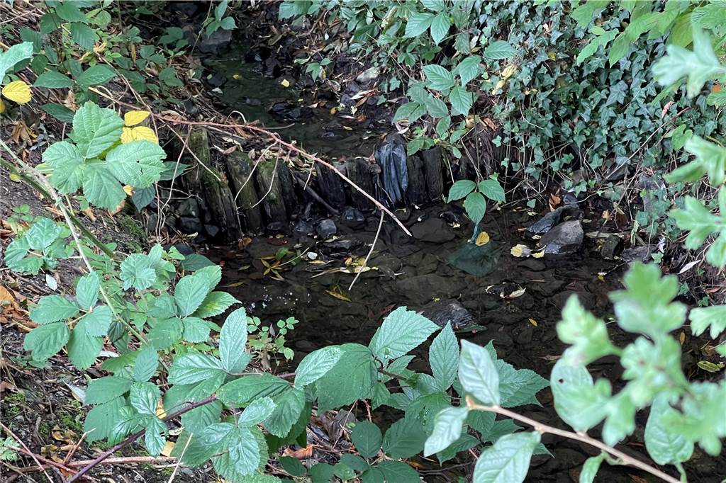 Hauseigentümer in Lünen müssen Gartenhäuser und Spieltürme entfernen Der Mahlbach führt üblicherweise nur wenig Wasser. Für Starkregenereignisse wie im Juli braucht es aber auch dort einen Hochwasserschutz.