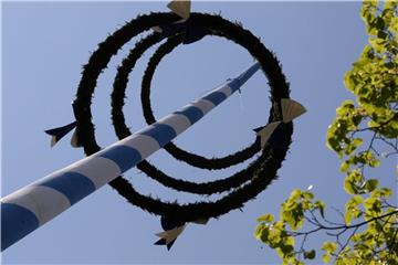 Der Maibaum-Klau gehört zum Höhepunkt im Dorfleben. Doch Videoüberwachung, Alarmanlagen und Infrarotsender mit direktem Signal aufs Handy sollen es den Dieben in Zukunft schwer machen. Foto: Stephan Jansen