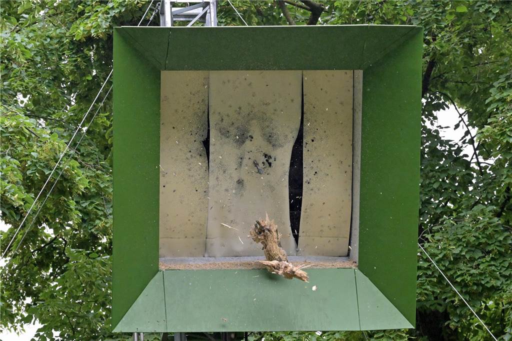 DER Moment. Beim 673. Schuss, abgefeuert von Michael Biegel, fällt der Vogel.