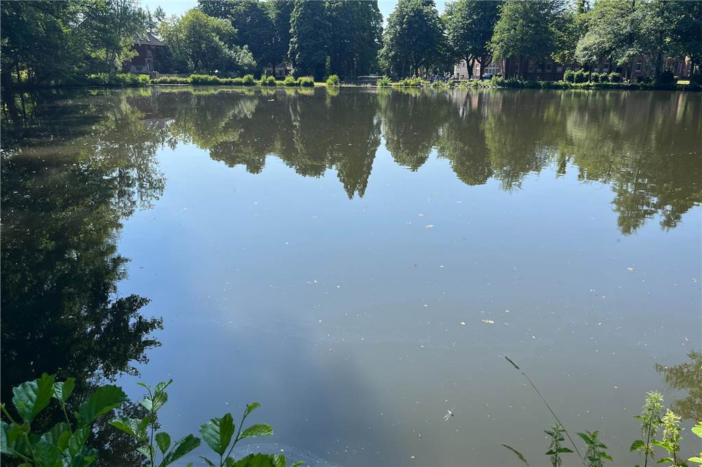Mühlenteich: Angler kritisieren Bürgermeister – Rexforth ist irritiert Mühlenteich Schermbeck