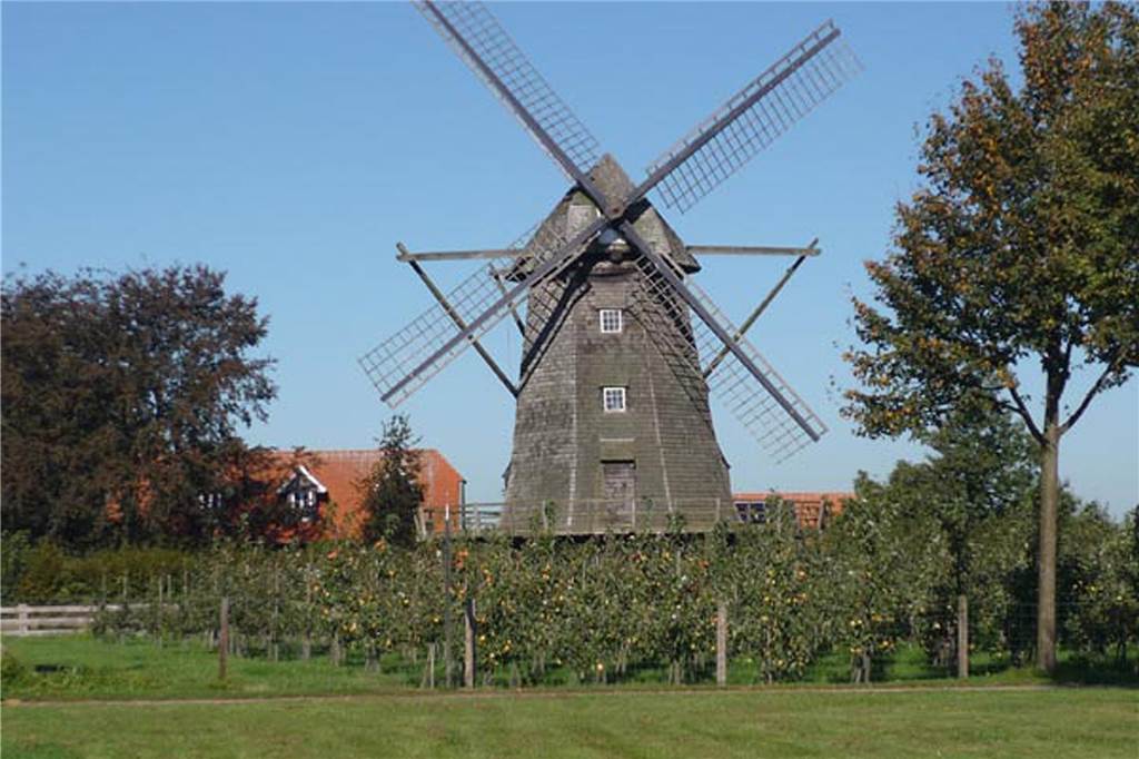„Schwerer“ Diebstahl in Stadtlohn: 1,5 Tonnen schwerer Mühlstein verschwunden Der Mühlstein der Familie Rütter stammt aus der über 200 Jahre alten Windmühle in Lette, in der Matthias Rütters Vater bis 1956 als Müller gearbeitet hatte.