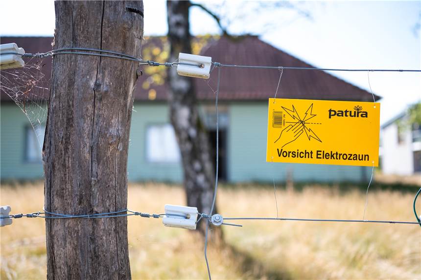 NABU Bottrop: „Wolf muss lernen, dass Schafe weh tun“ Der NABU Bottrop stellt erneut den Herdenschutz mit professionellen Zäunen als einzig richtige Möglichkeit im Kampf gegen den Wolf dar.