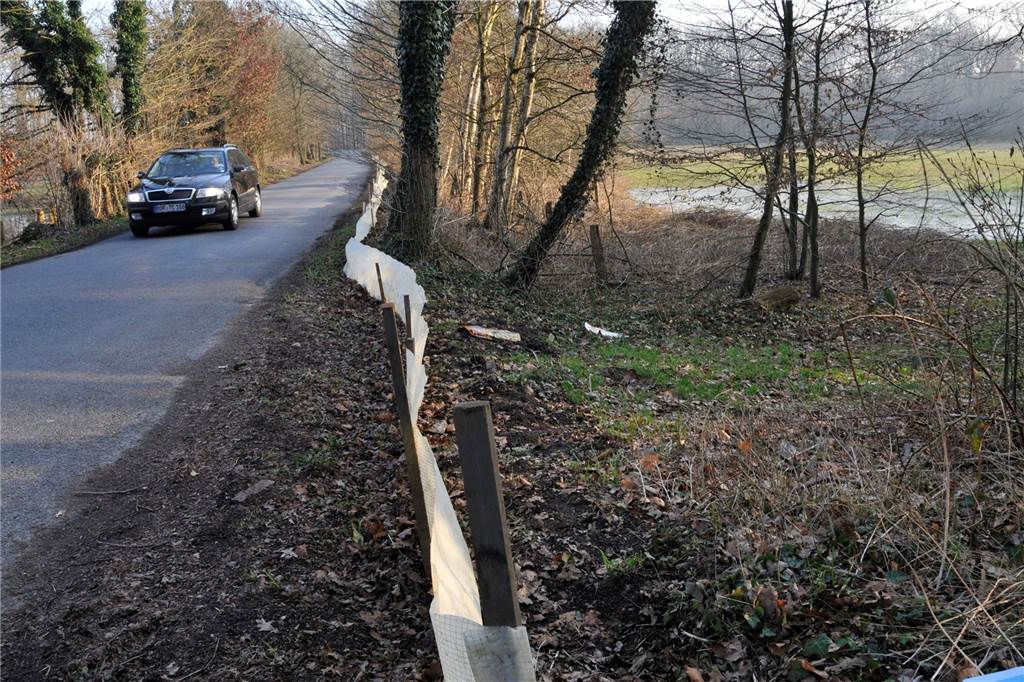 NABU beginnt 2023 mit einem Appell: „Kauft regionale Produkte!“ Ein Krötenzaun an der Straße Im Schöning in Lembeck
