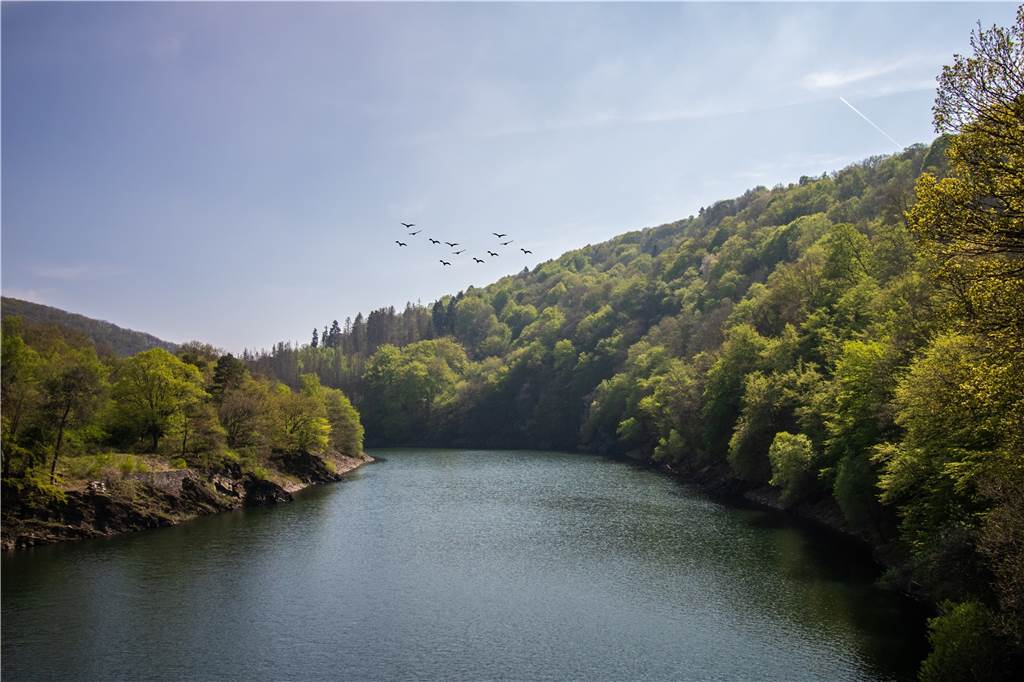 Von Dortmund in unter 6 Stunden ans Ziel - was kann das 9-Euro-Ticket? Der Nationalpark Eifel
