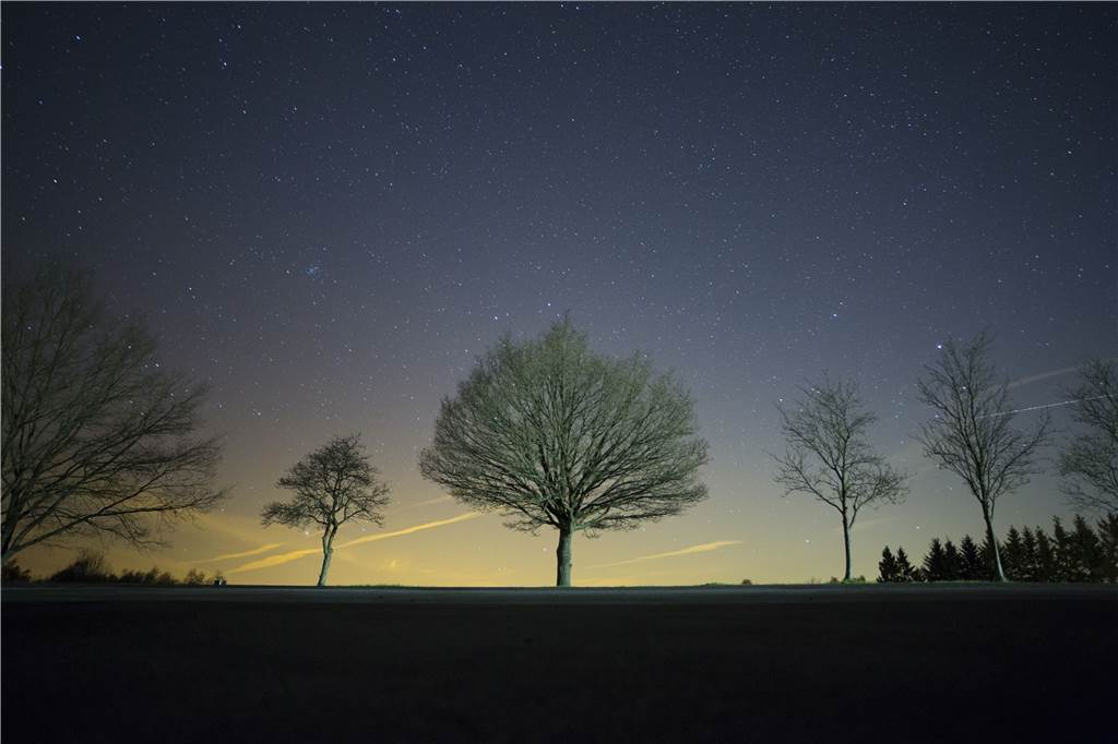 Internationaler Sternenpark: Ausflug in die Eifel lohnt sich besonders bei Nacht Der Nationalpark Eifel hat sich dem nachhaltigen Sternentourismus verschrieben. So können Touristen einen möglichst ungetrübten Blick in den nächtlichen Himmel werfen und gleichzeitig nachtaktive Tiere erleben.