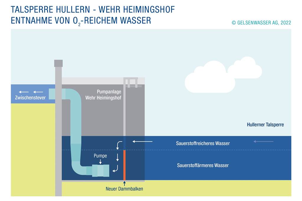 Gelsenwasser zum wiederholten Fischsterben in der Stever: „Wir sind nicht allmächtig“ Die Funktionsweise des neuen Dammbalkens an der Talsperre Hullern.