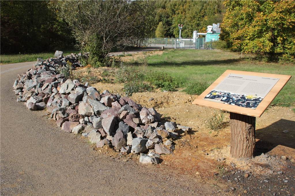 Brache Kurl 3 in Niederaden: So erobert sich die Natur das Zechengelände zurück Ein Steinriegel am Wegesrand.