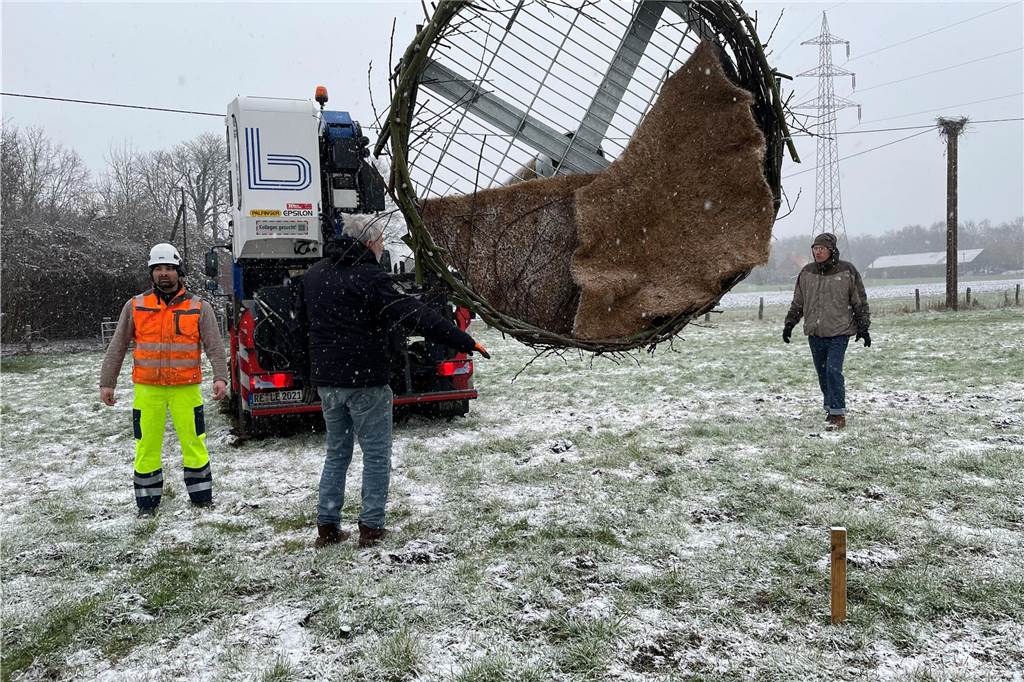 Der neue Storchenhorst steht etwa 40 Meter entfernt von dem Strommast, auf dem die Störche 2022 den Nestbau versucht hatten. Erich Neumann will ihnen noch Stöcke und Nistmaterial auf die Wiese legen.