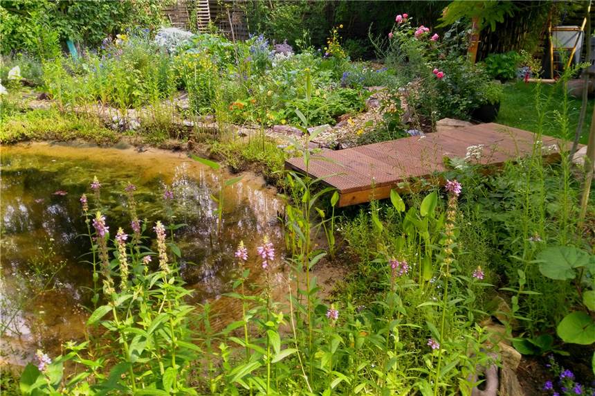 Denise Lorenz setzt auf naturnahe und tierfreundliche Gartengestaltung Der neue Teich ist eines der Projekte, die Denise Lorenz in diesem Jahr in ihrem Garten umgesetzt hat.