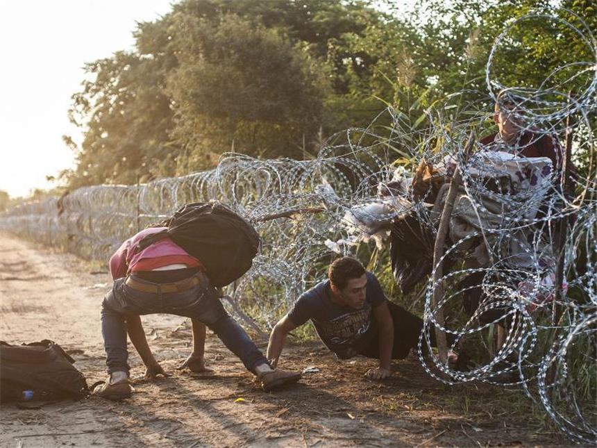 Westbalkan-Konferenz: Steinmeier hält nichts von Grenzzäunen Der neue Zaun an der Grenze zu Serbien hält die Flüchtlinge nicht davon ab, nach Ungarn zu kommen. Foto: Sandor Ujvari