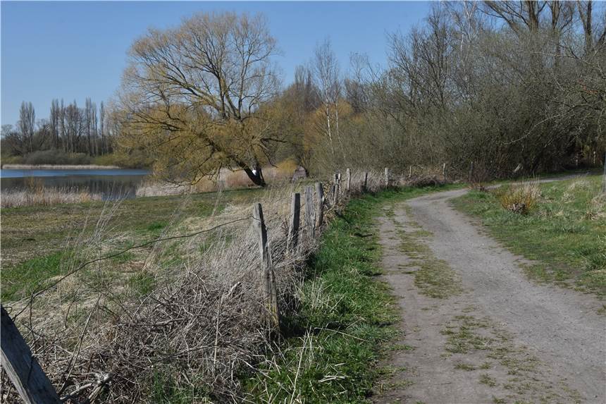 Ist das hier noch die drittgrößte Stadt NRWs? Der Nordosten zeigte sich dieser Woche von seiner schönsten Seite. Der Lanstroper See hat unsere Autorin eines Besseren belehrt. Der Nordosten gefällt ihr jetzt richtig gut.