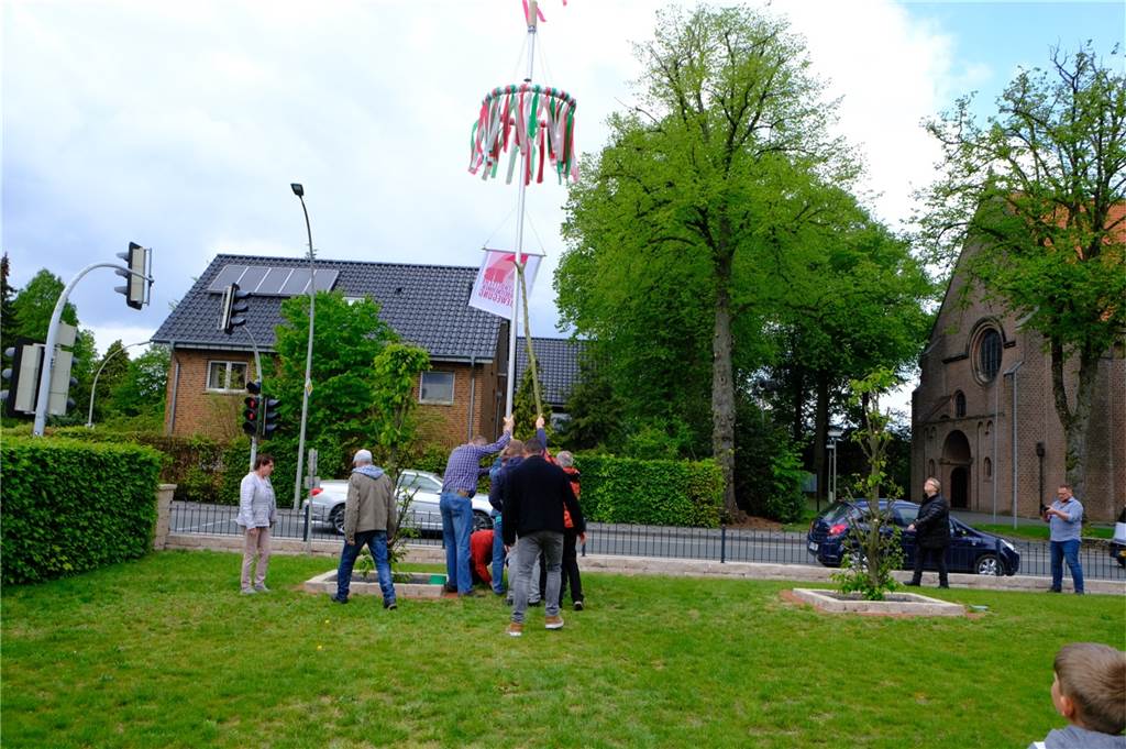 Meile durch Oeding rund um den Mai hat viel Glück mit dem Wetter Der Oedinger Maibaum wird mit vereinten Kräften aufgerichtet.