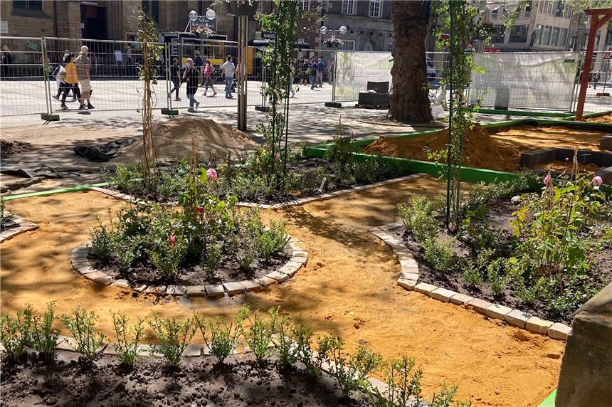 Der Paradiesgarten auf dem Reinoldikirchplatz bleibt - vorerst Der Paradiesgarten an der Reinoldikirche bleibt vorerst bestehen.