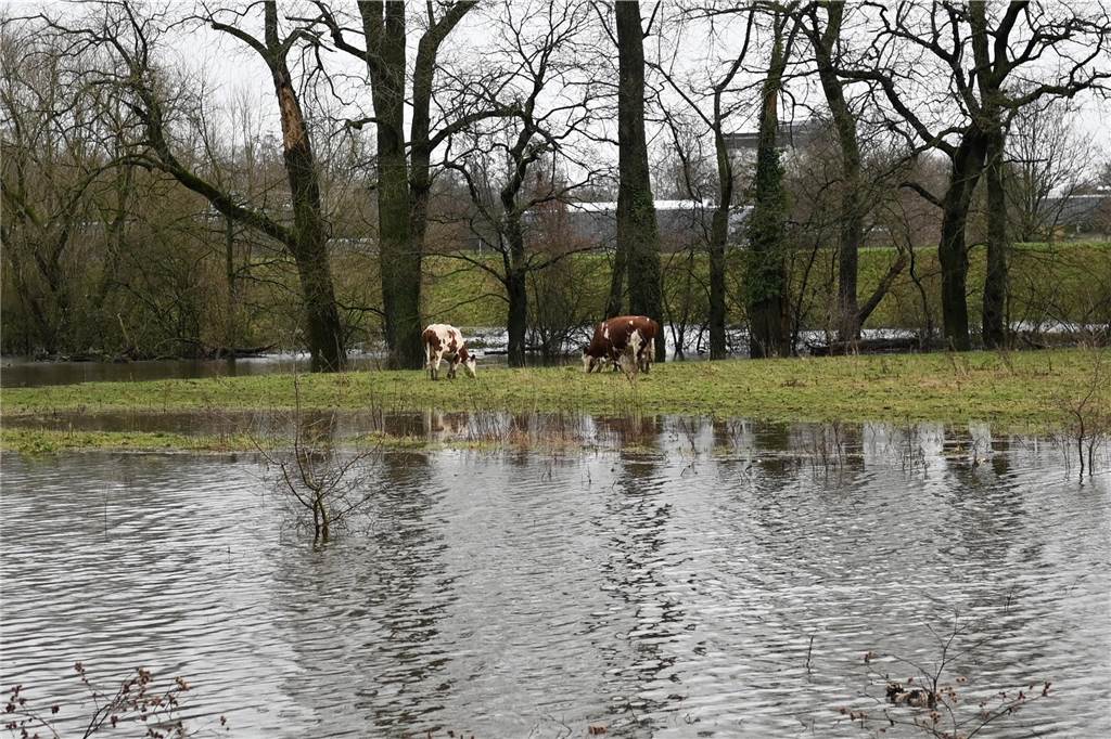 Der Pegelstand der Lippe in Dorsten hat am Samstagnachmittag die Marke von 8 Metern überschritten. Damit gilt Warnstufe 2. Mitarbeiterinnen und Mitarbeiter des Lippeverbandes kontrollieren daher die Deiche.