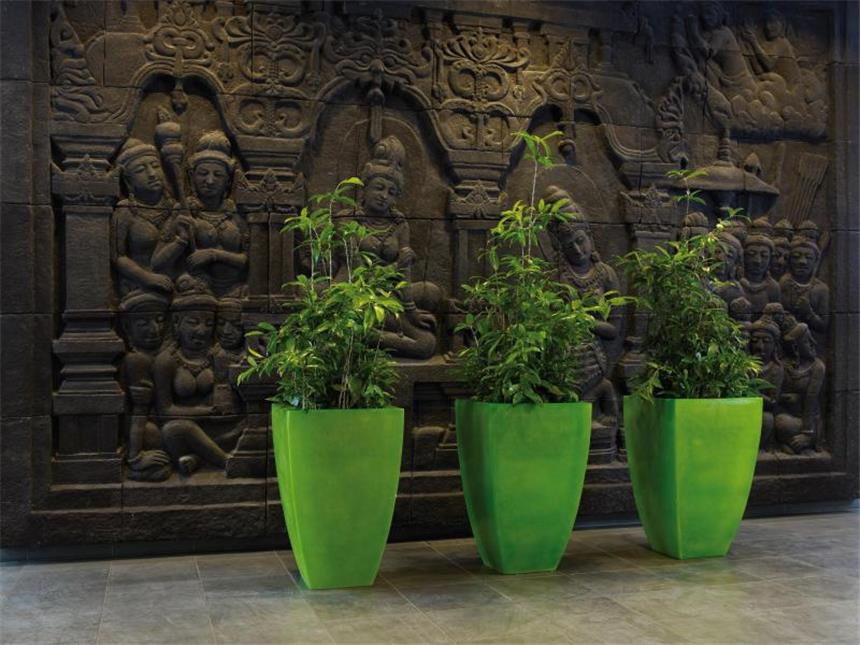 Zwischen roten Kügelchen - Hydrokultur hat viele Vorteile Der pflegeleichte Drachenbaum (hier: Dracaena surculosa) gedeiht sehr gut in Hydrokultur. Foto: Beiermeister GmbH Hydrokulturen