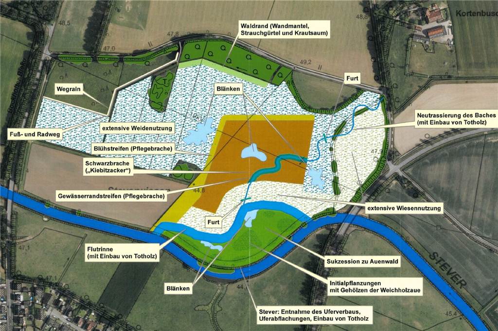 Steveraue in Olfen soll sich vergrößern – Stadt stellt Pläne vor Der Plan für die neue Auenfläche zwischen Birkenallee und Steverstraße.