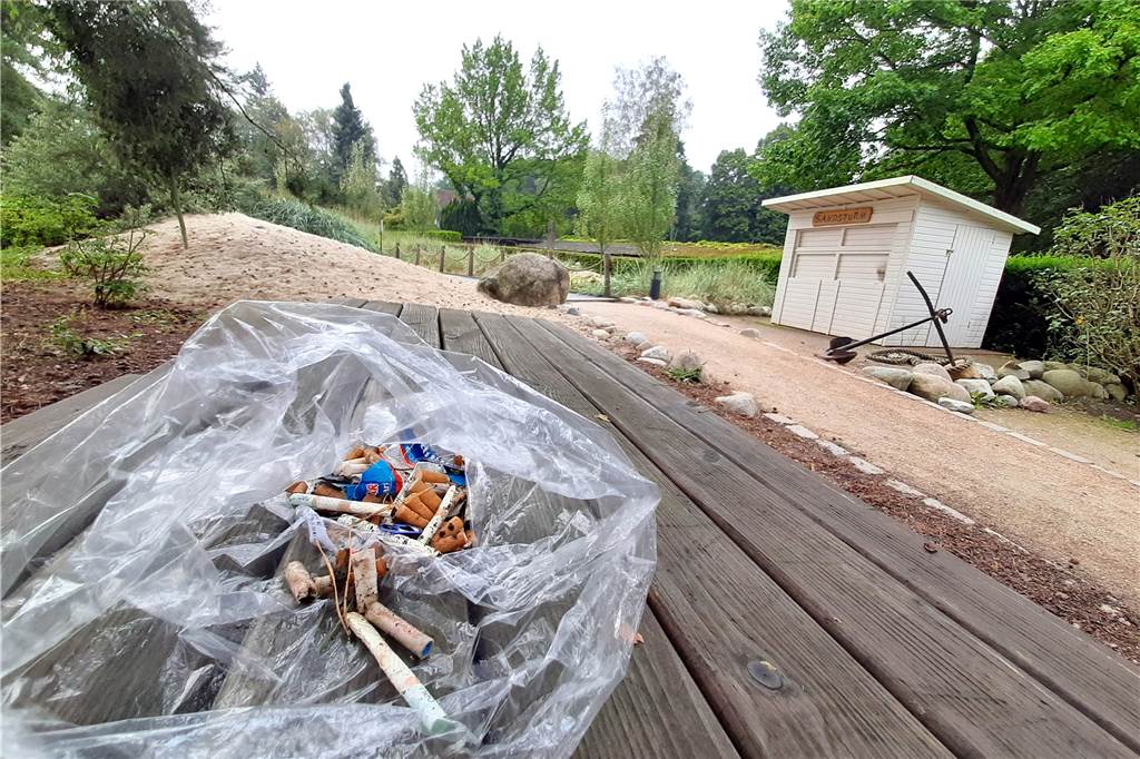 Müll im Rombergpark: „Sich ärgern bringt ja nichts, also sammle ich“ Der Plastikbeutel füllt sich schnell - vor allem mit achtlos weggeworfenen Zigarettenkippen wie hier am Eingang zur Dünenlandschaft.