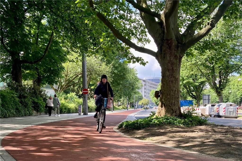 „Ein Netz mit vielen Löchern“: Die Halbzeit-Bilanz zur Verkehrspolitik Der Radwall in Dortmund