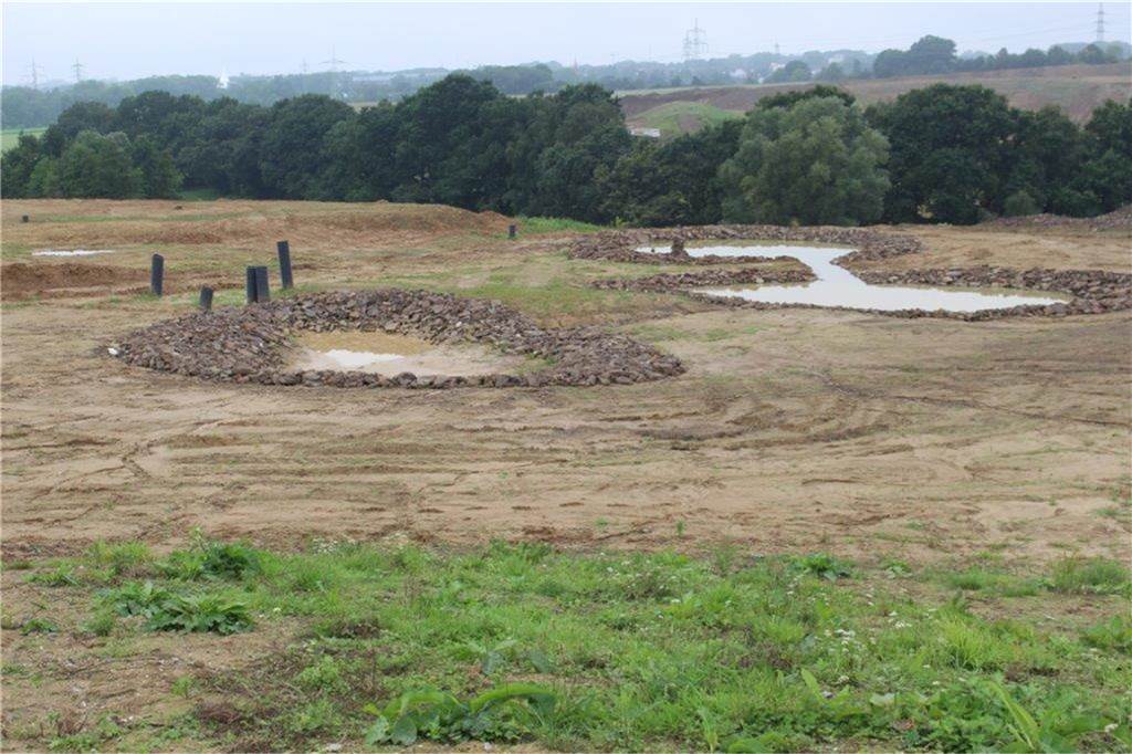 Noch ein Jahr warten: Golfplatz am Ruhr-Park soll jetzt 2024 öffnen Der Regen dieses Sommers hat die vielen Teiche des Geländes gut gefüllt.