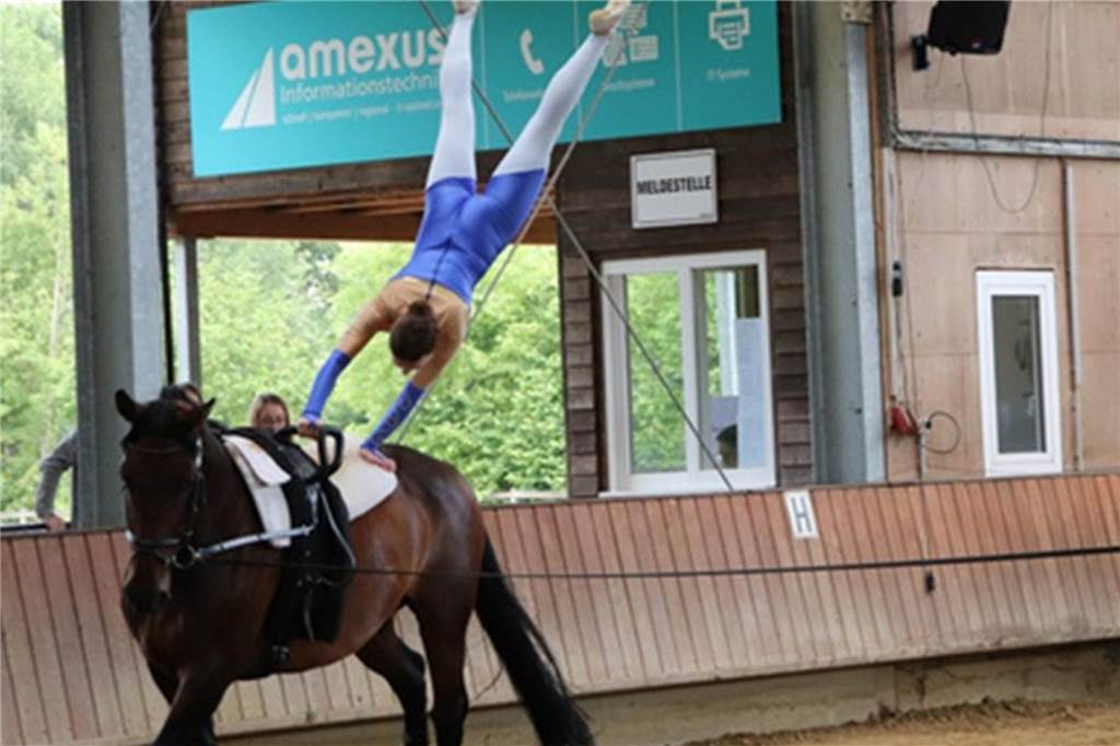 Reitverein mit Hilferuf – Jessy Vorspohl: „Wir waren einfach verzweifelt“ Der Reitverein Heek-Nienborg such fieberhaft nach einem geeigneten Pferd, das nach dem Kauf als Voltigierpferd (Foto) ausgebildet werden kann.