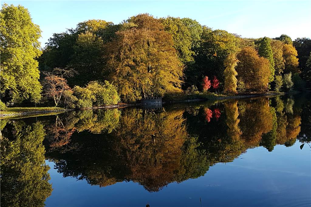 26 tolle Sehenswürdigkeiten in Dortmund und Umgebung Der Rombergpark ist auch im Herbst besonders schön.