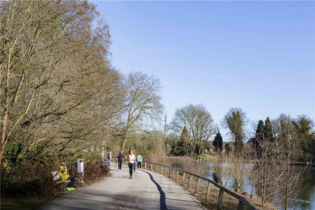 Der Rombergpark steht für einen hohen Freizeitwert im Stadtteil.