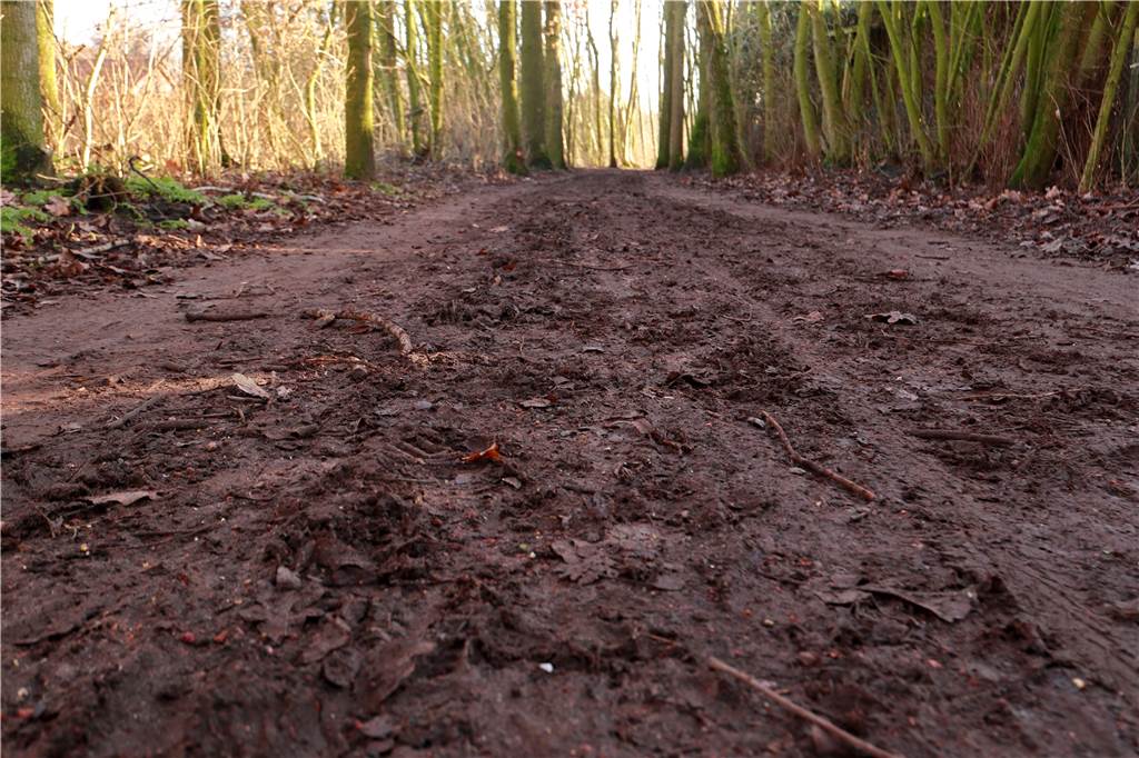 „Kahlschlag“ am Ölbach sorgt für Entsetzen bei Spaziergängern – warum er trotzdem sein muss Der Rote Weg entlang des Ölbachs zwischen Schelver Diek und Haydnstraße wird nach der Heckenpflegemaßnahme erneuert – dann wird der Weg mit einem gelben Sandsteinmaterial befestigt, kündigt Vredens Bauhofleiter Martin Terbrack an.