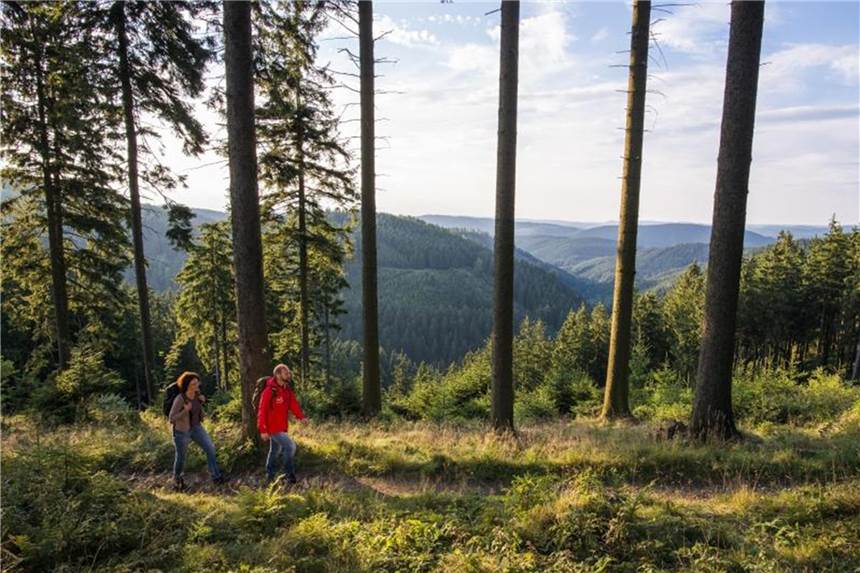 Das Sauerland will Urlaubern Heimat auf Zeit bieten Der Rothaarsteig führt durch das Sauerland. Immer mehr - auch jüngere - Wanderer sind deshalb in der Region unterwegs. Foto: Klaus-Peter Kappest/Rothaarsteigverein e.V.