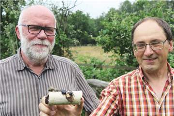 Der RVR-Mitarbeiter Heinz Hermann Verholte und der Insektenforscher Klaus Kretschmer (v.l.) freuen sich über den Nachweis von Stierkäfern im Schermbecker Naturschutzgebiet Lichtenhagen. 