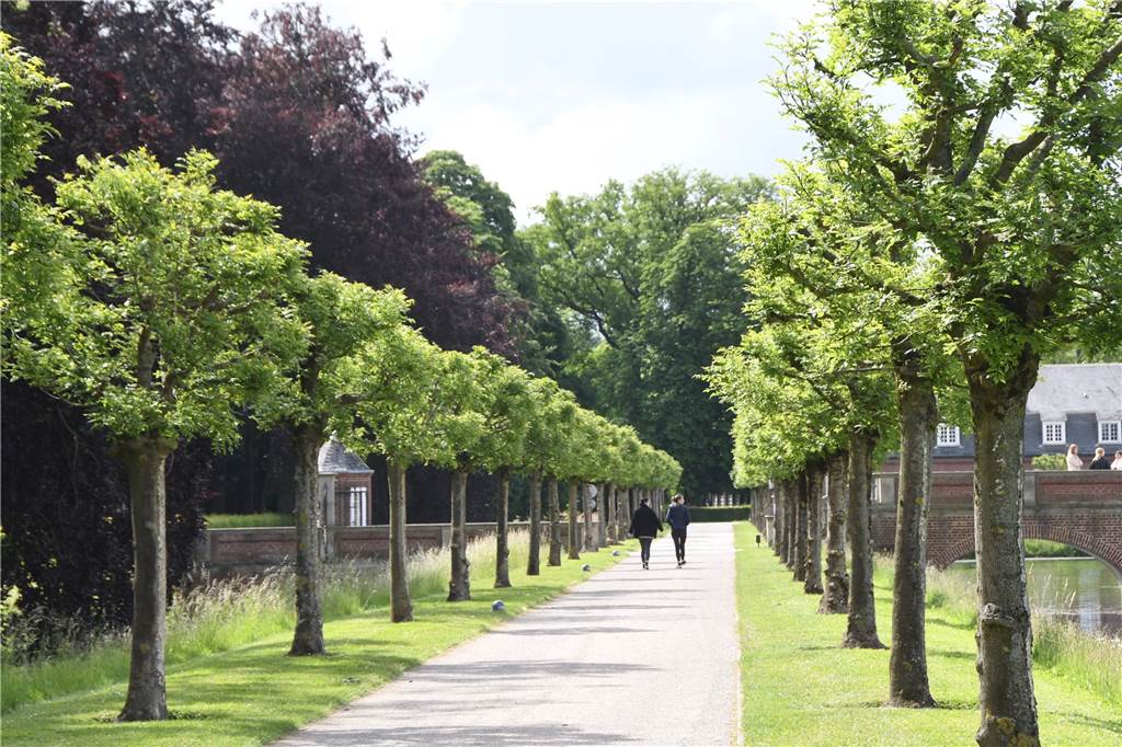 Schloss Nordkirchen am 11. Juni: Wenn Filmkunst auf Gartenkunst trifft Der Schlosspark Nordkirchen bietet faszinierende Ansichten, wie hier eine der vielen Alleen.