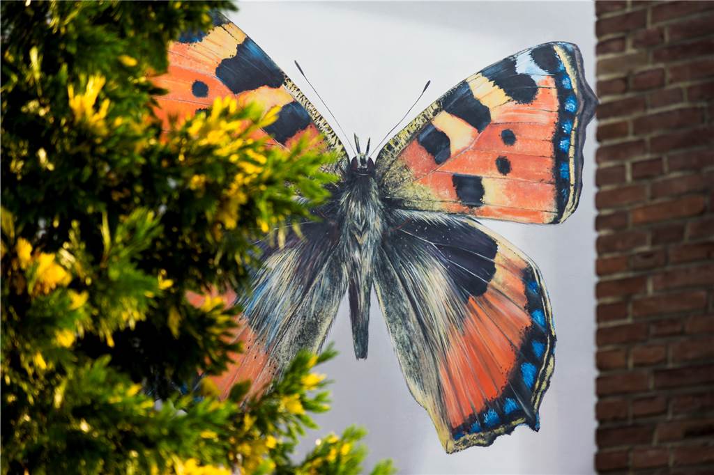 Riesen-Schmetterlinge an Dortmunds Fassaden: Das steckt hinter dem Projekt Der Schmetterling ist sehr realistisch gearbeitet.