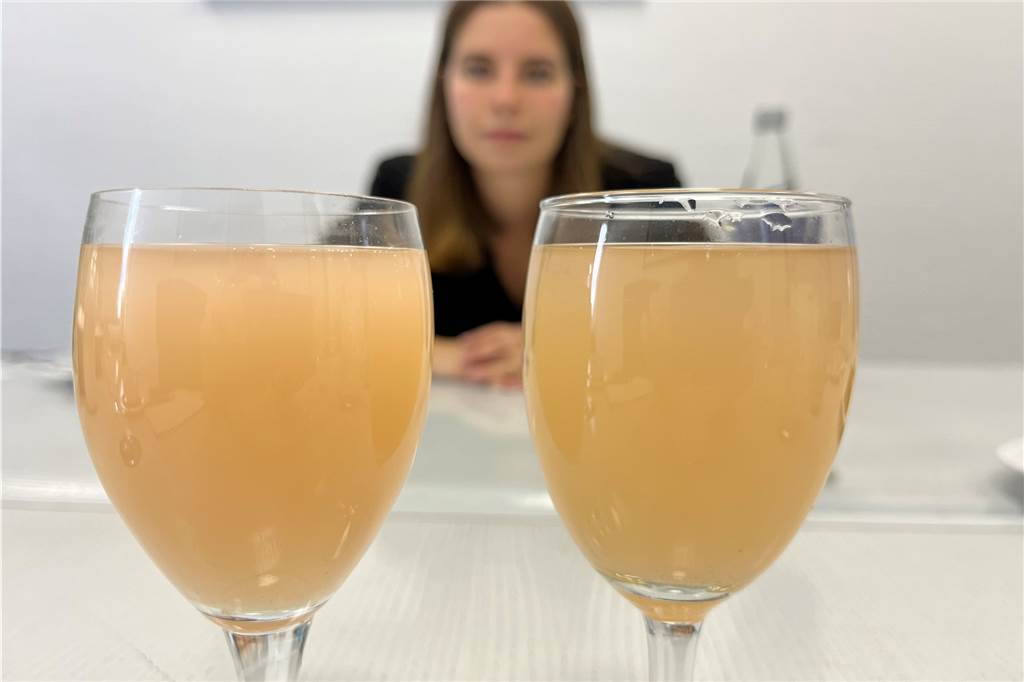 Wasser-Sommelière: „Mit dem falschen Wasser kann man einen Wein ruinieren“ Zwei Gläser mit Rhababersaft-Schorle: Beide haben einen unterschiedlichen Farbton, da unterschiedliche Wasser benutzt wurden.