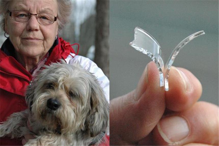 Selmerin geschockt: Hund erbricht Glasscherben Der Schreck bei Maria Franken war groß: Hund Boomer hatte vermutlich durch einen Köder Glasscherben gefressen.