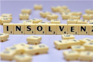 Der Schriftzug „Insolvenz“ steht auf einem Tisch. Foto: Soeren Stache/Archiv