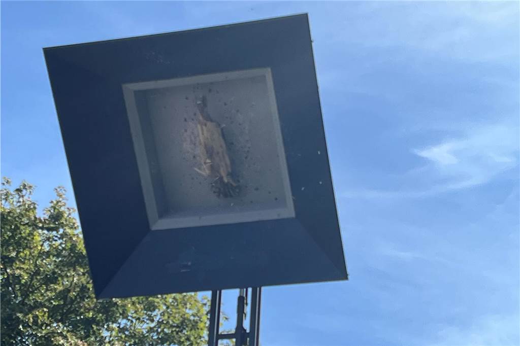 Der Schützenvogel zeigte erst spät Ermüdungserscheinungen.