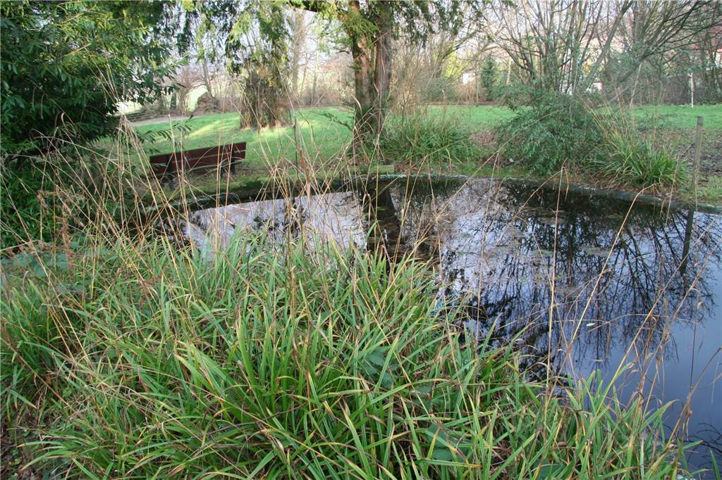 Verschwindet der schönste Schulgarten Dortmunds für eine neue Kita? Der Schulgarten an der Bodieckstraße scheint gerettet.