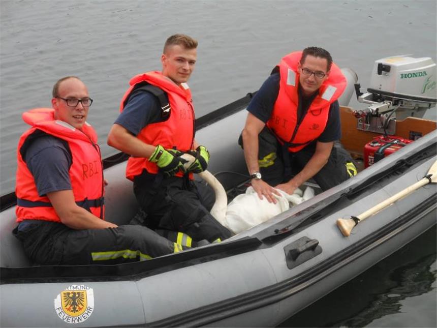 Feuerwehr befreit Schwan von Angelhaken Der Schwan und seine Retter.