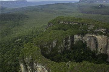 Der Serranía-de-Chiribiquete-Nationalpark in Kolumbien liegt zwischen Orinoco-Ebene, Anden und dem Amazonas-Gebiet. Foto: colprensa