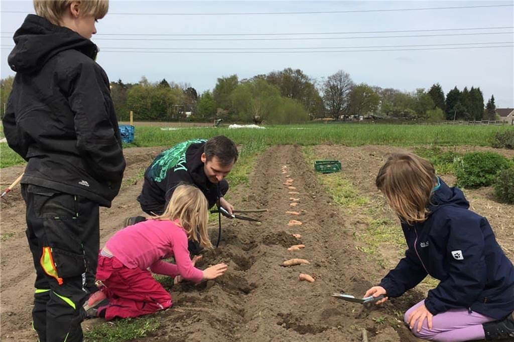 Solidarische Landwirtschaft Lippeauen Bork ist aus den Kinderschuhen raus Der sogenannte Kinderacker gehört zu den beliebtesten Bereichen auf dem Gelände der Solidarischen Landwirtschaft in Bork.
